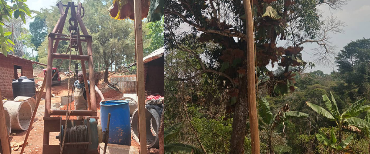 Dorcas Humanitarian Work